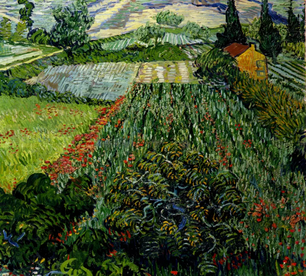 Anonimo , Van Gogh, Vincent - sec. XIX - I campi , fronte