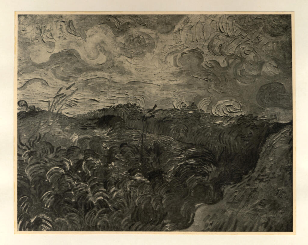 Van Gogh, Vincent , Campo verde di grano -