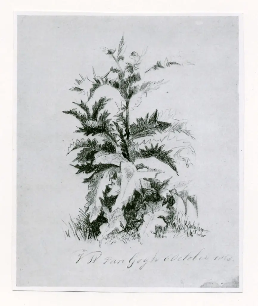 Anonimo, Anonimo , fronte