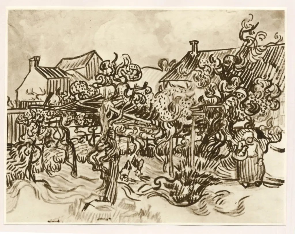 Anonimo , Van Gogh, Vincent - sec. XIX - Jardin (Auvers) , fronte