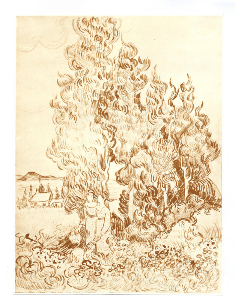 Anonimo , Van Gogh, Vincent - sec. XIX - Les cyprès, St. Rémy , fronte