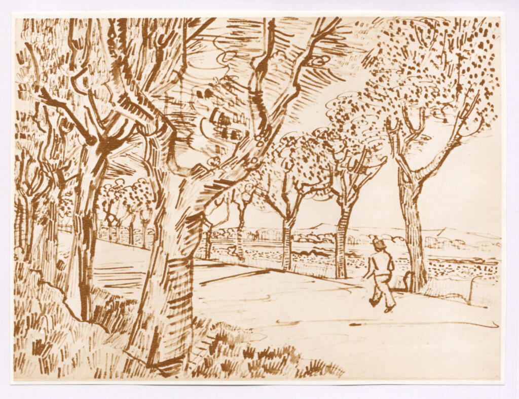 Anonimo , Van Gogh, Vincent - sec. XIX - La route à Tarascon, Arles , fronte