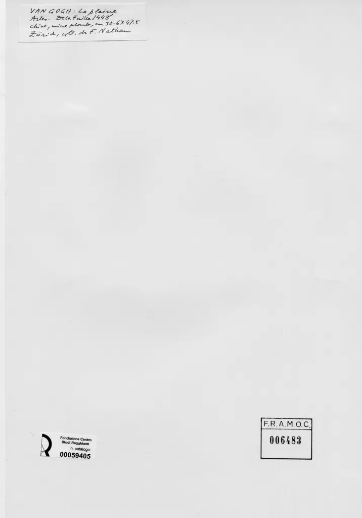 Anonimo , Van Gogh, Vincent - sec. XIX - La plaine, Arles , retro