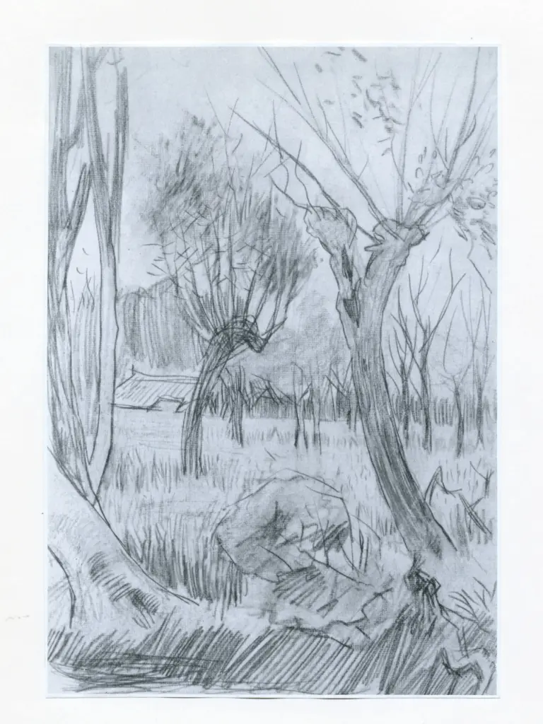 Anonimo, Anonimo , fronte