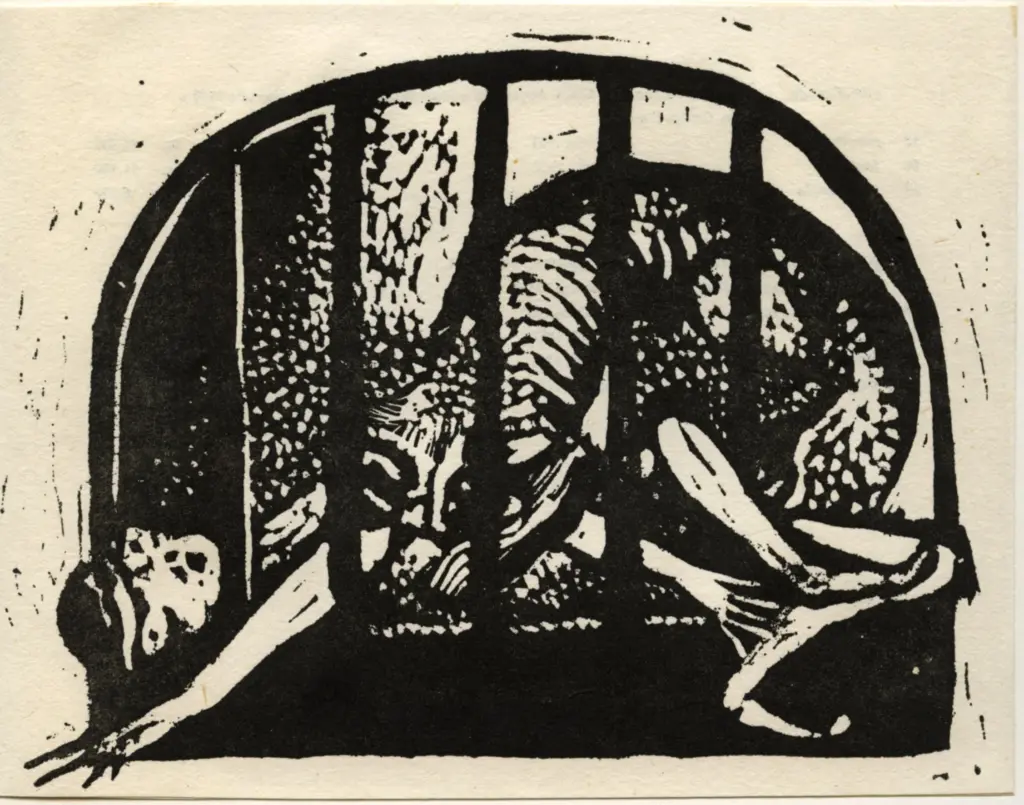 Anonimo, Anonimo , fronte