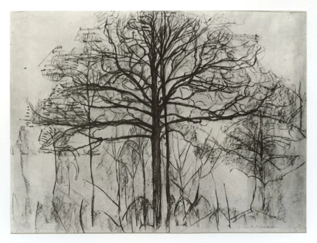 Anonimo, Anonimo , fronte