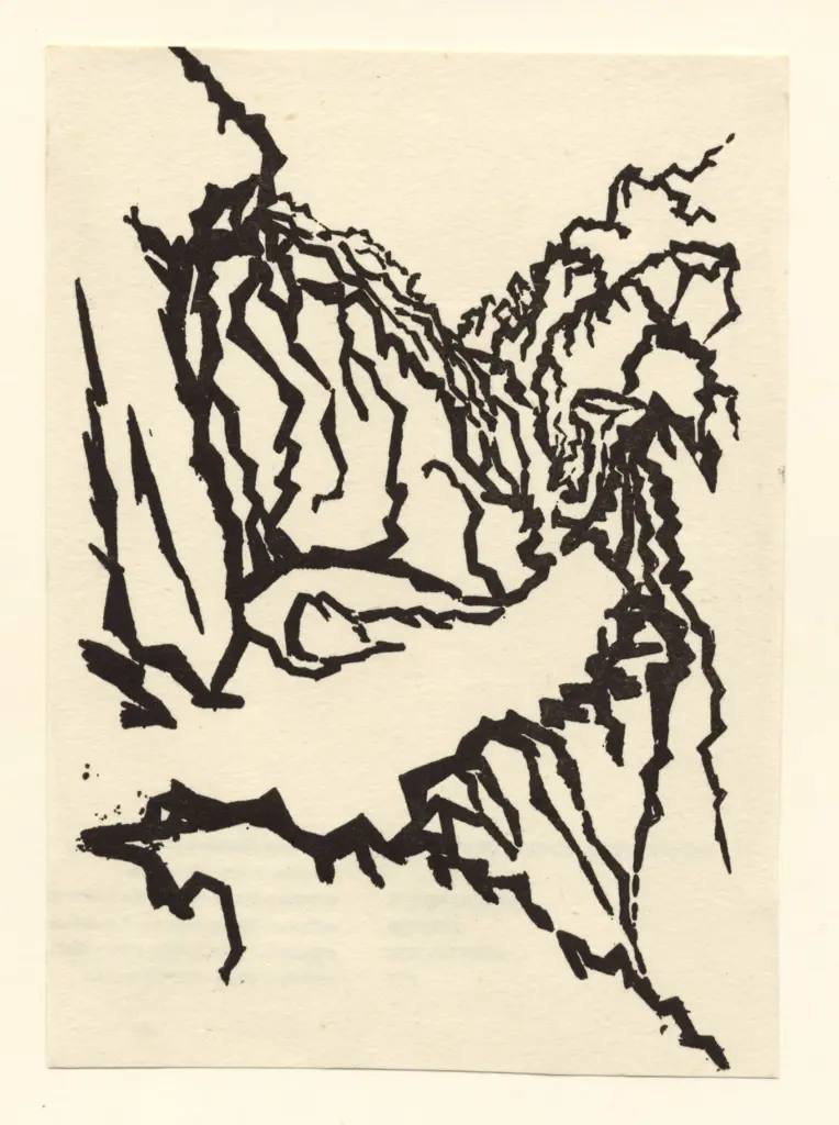 Anonimo , Sok, Ap - sec. XX - Strada rocciosa , fronte