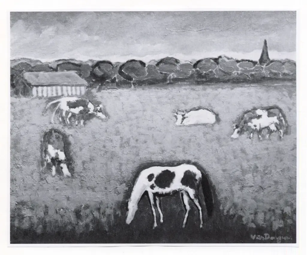 Anonimo, Anonimo , fronte