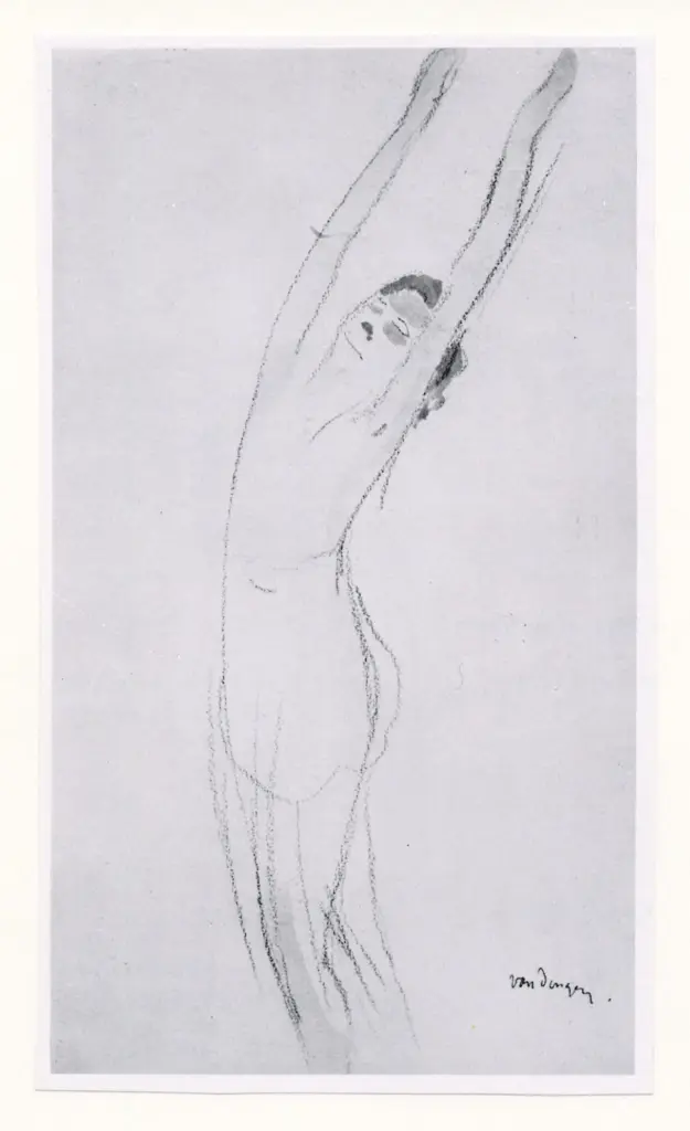 Anonimo, Anonimo , fronte