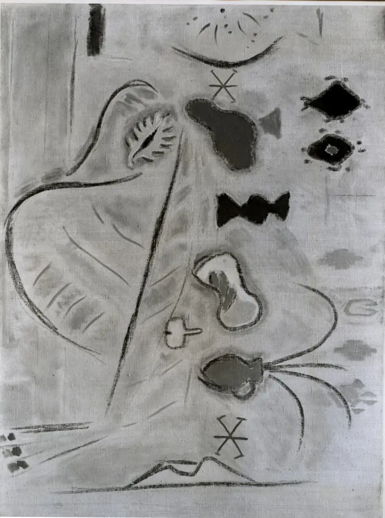 Anonimo , Taranczewski, Waclaw - sec. XX - Still Life With Blue Vase And Shell , fronte