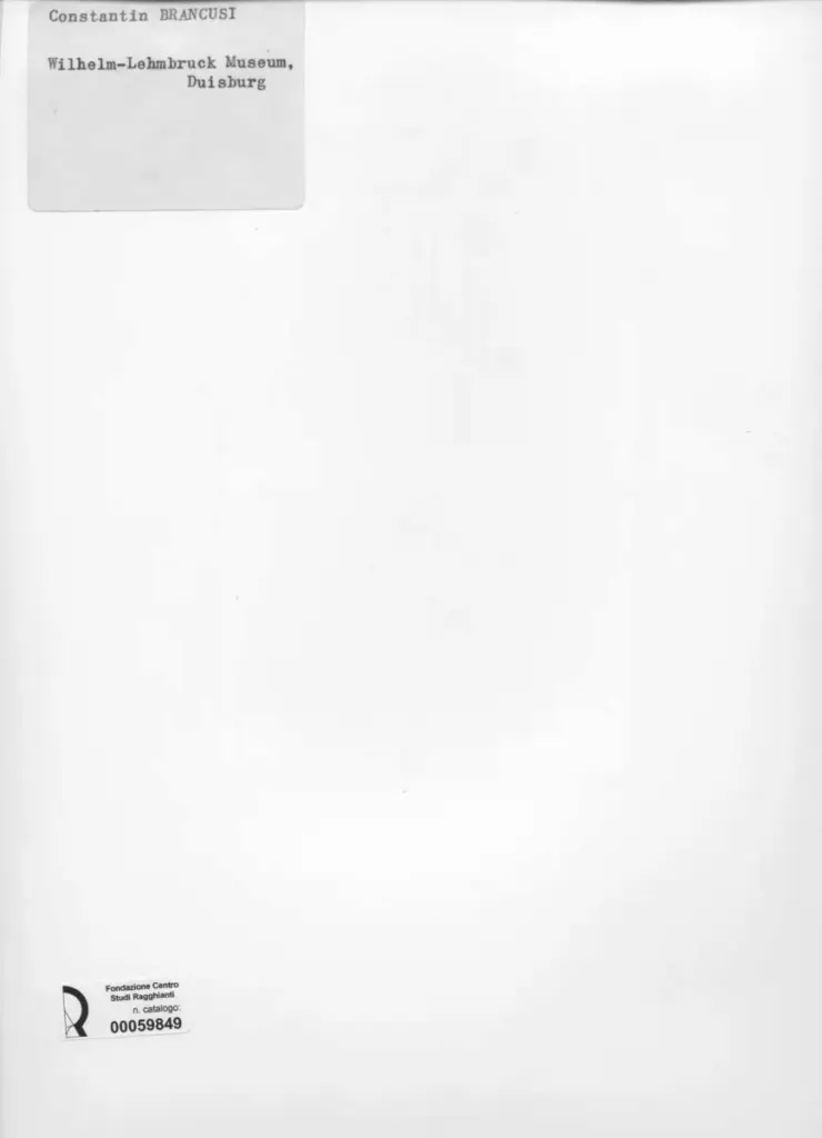 Anonimo , Brancusi, Constantin , retro