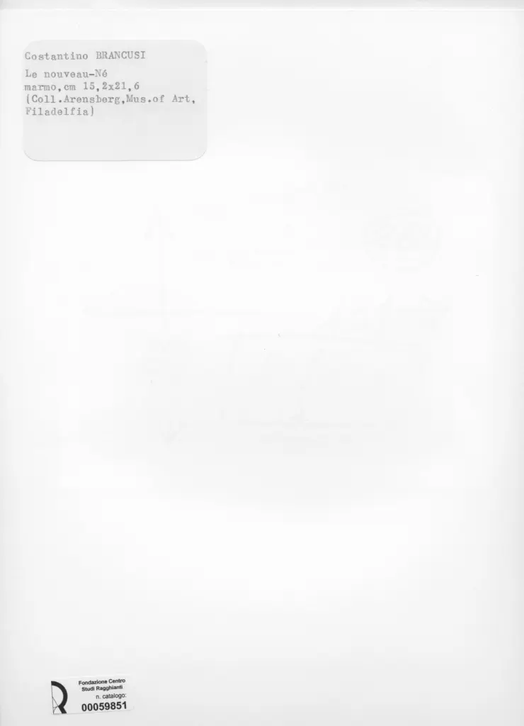 Anonimo , Brancusi, Constantin - sec. XX - Le nouveau - N&eacute; , retro