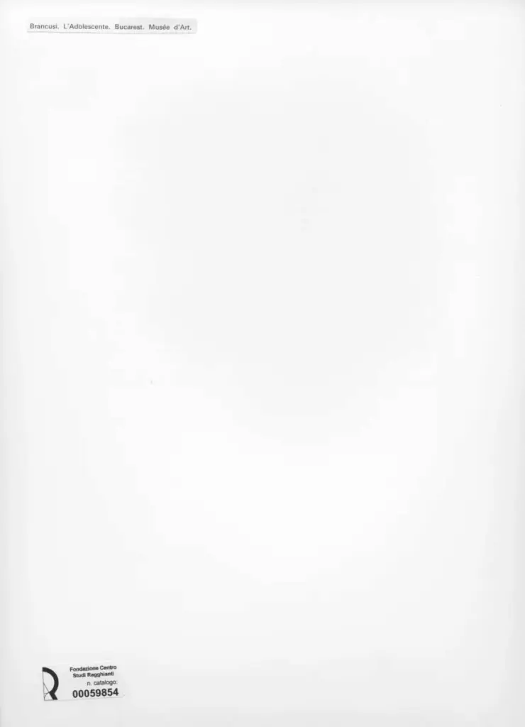 Anonimo , Brancusi, Constantin , retro