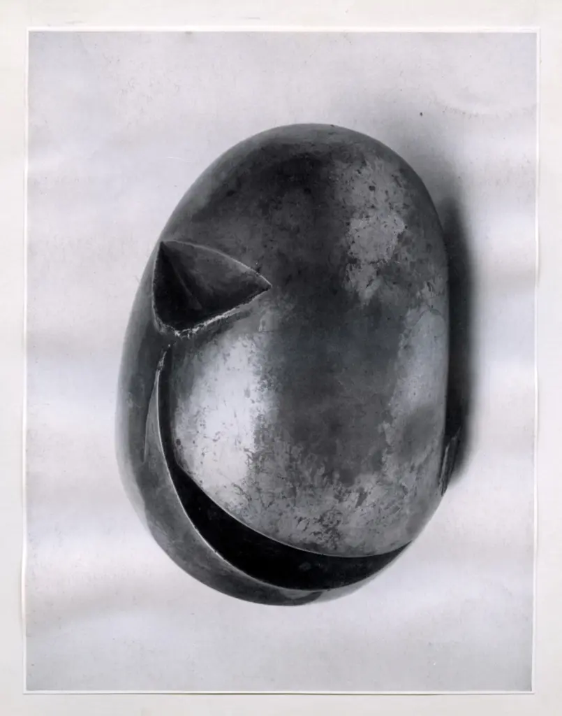 Anonimo , Brancusi, Constantin - sec. XX - Le nouveau-N&eacute;