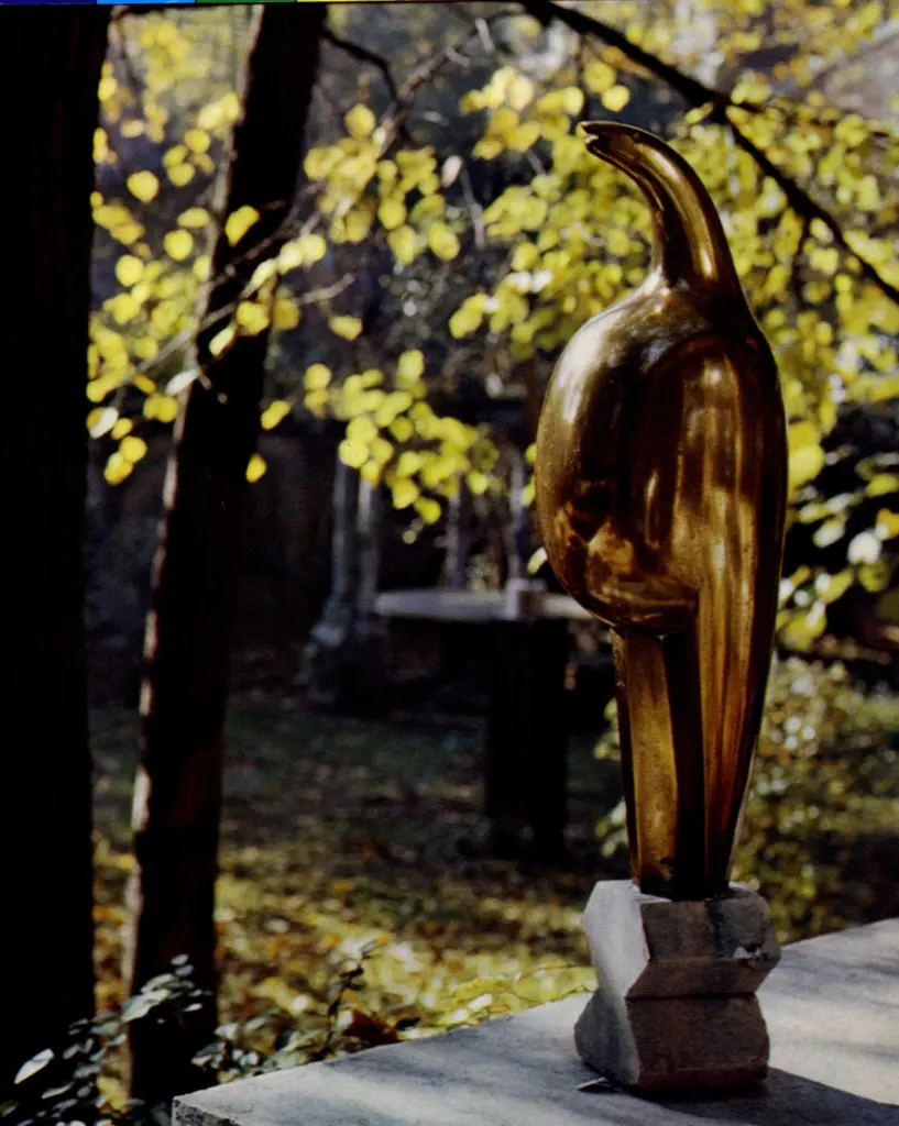 Anonimo , Brancusi, Constantin - sec. XX - Maiastra , fronte