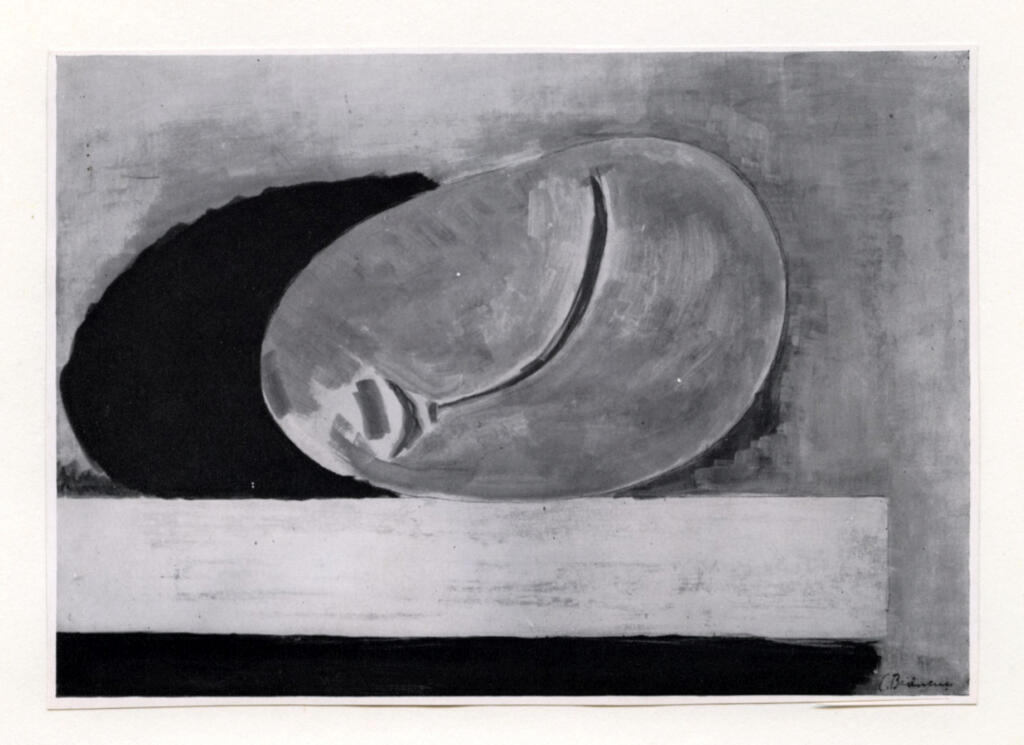 Anonimo , Brancusi, Constantin - sec. XX; sec. XX - , fronte