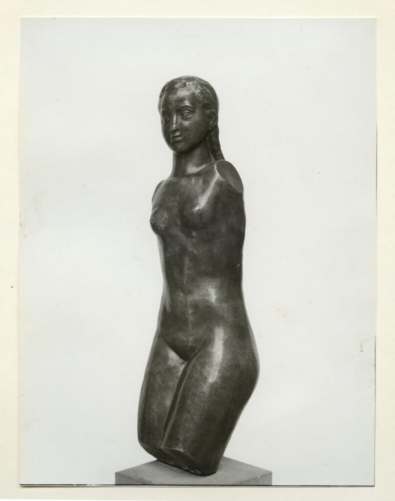 Fotografia Ferruzzi , Medrea, Corneliu - sec. XX - Torso , fronte