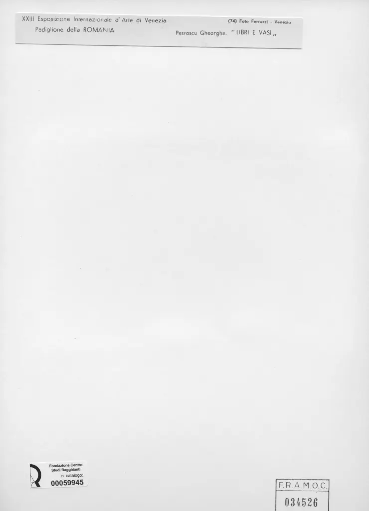 Fotografia Ferruzzi , Petrascu, Gheorghe - sec. XX - Libri e vasi , retro