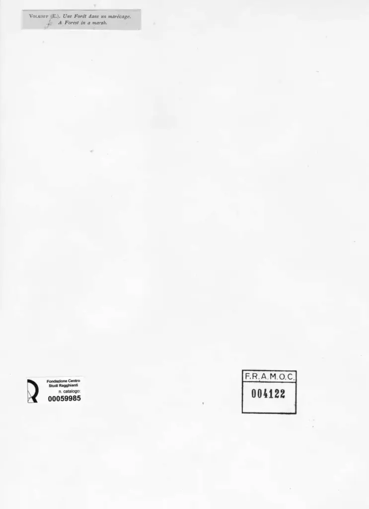Anonimo , Volkoff, E. - sec. XIX - A Forest in a marsh , retro