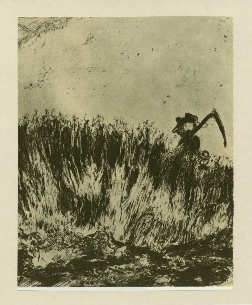 Anonimo, Anonimo , fronte