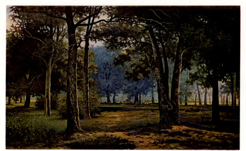 Anonimo, Anonimo , fronte