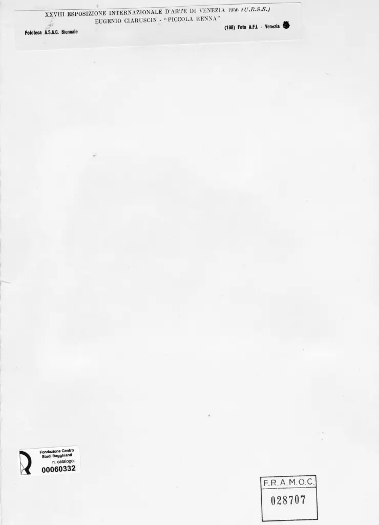 A.F.I. Agenzia Fotografica Industriale , Ciaruscin, Eugenio - sec. XX - Piccola Renna , retro
