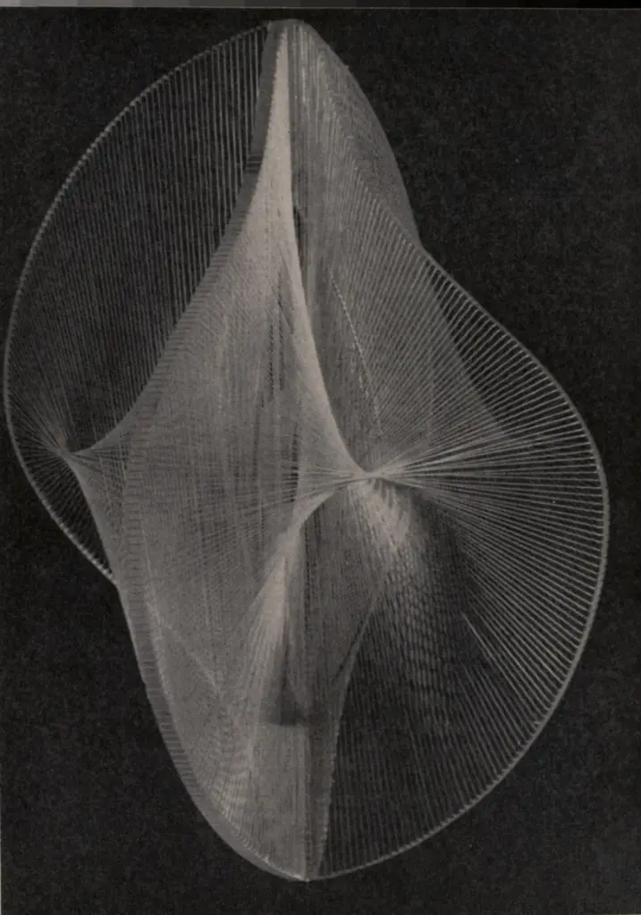 Anonimo, Anonimo , fronte