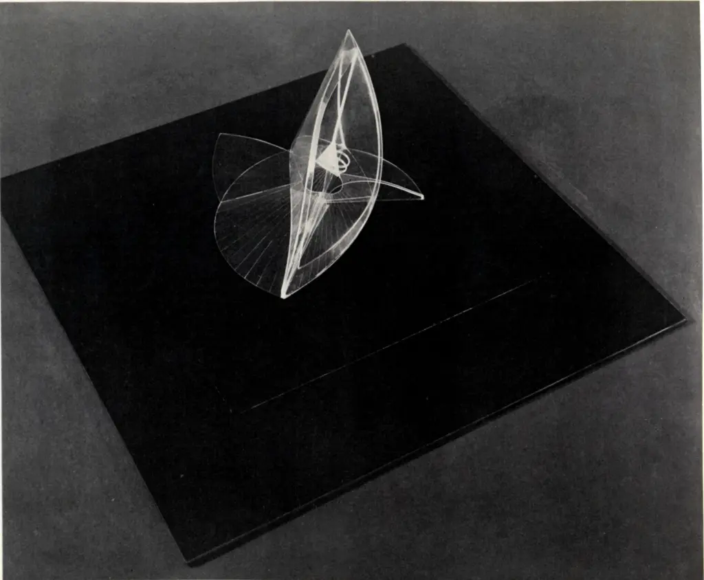 Anonimo, Anonimo , fronte