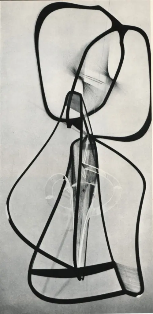 Anonimo, Anonimo , fronte