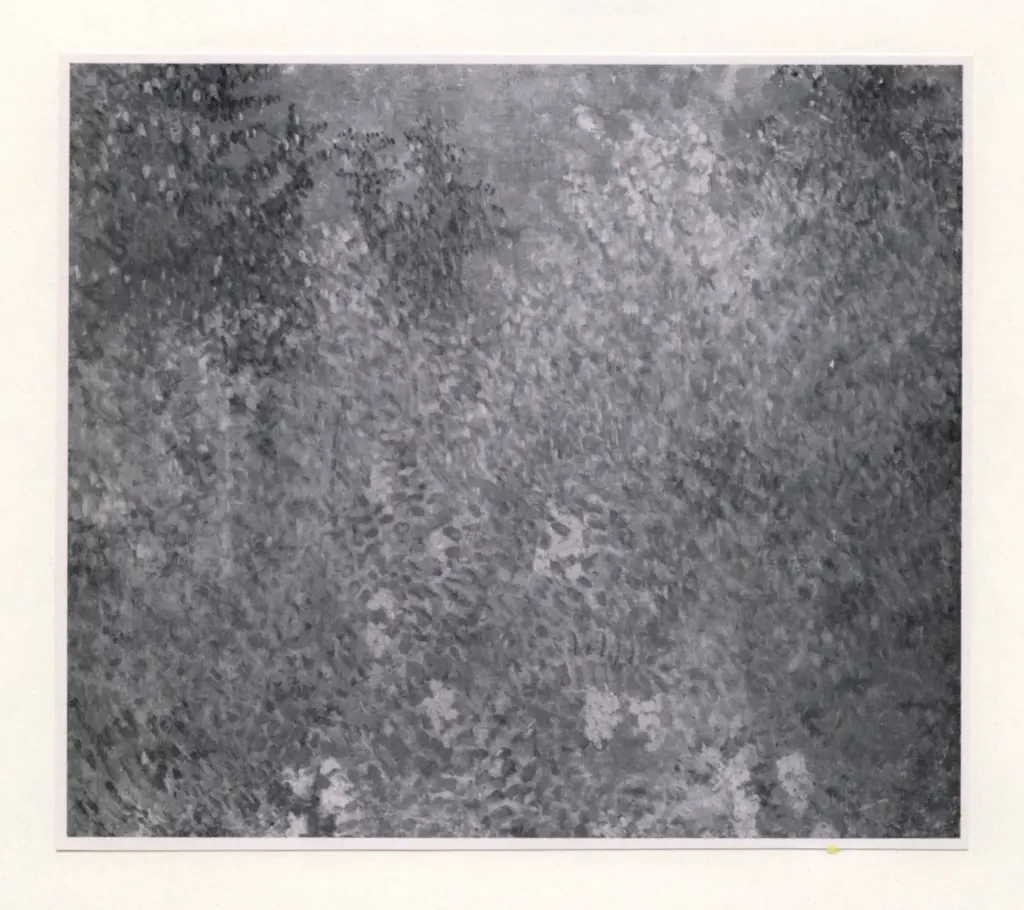 Anonimo , Larionoff, Michail - sec. XX - Les Feuillages , fronte