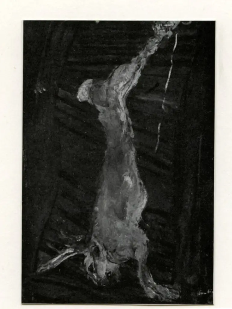 Anonimo, Anonimo , fronte