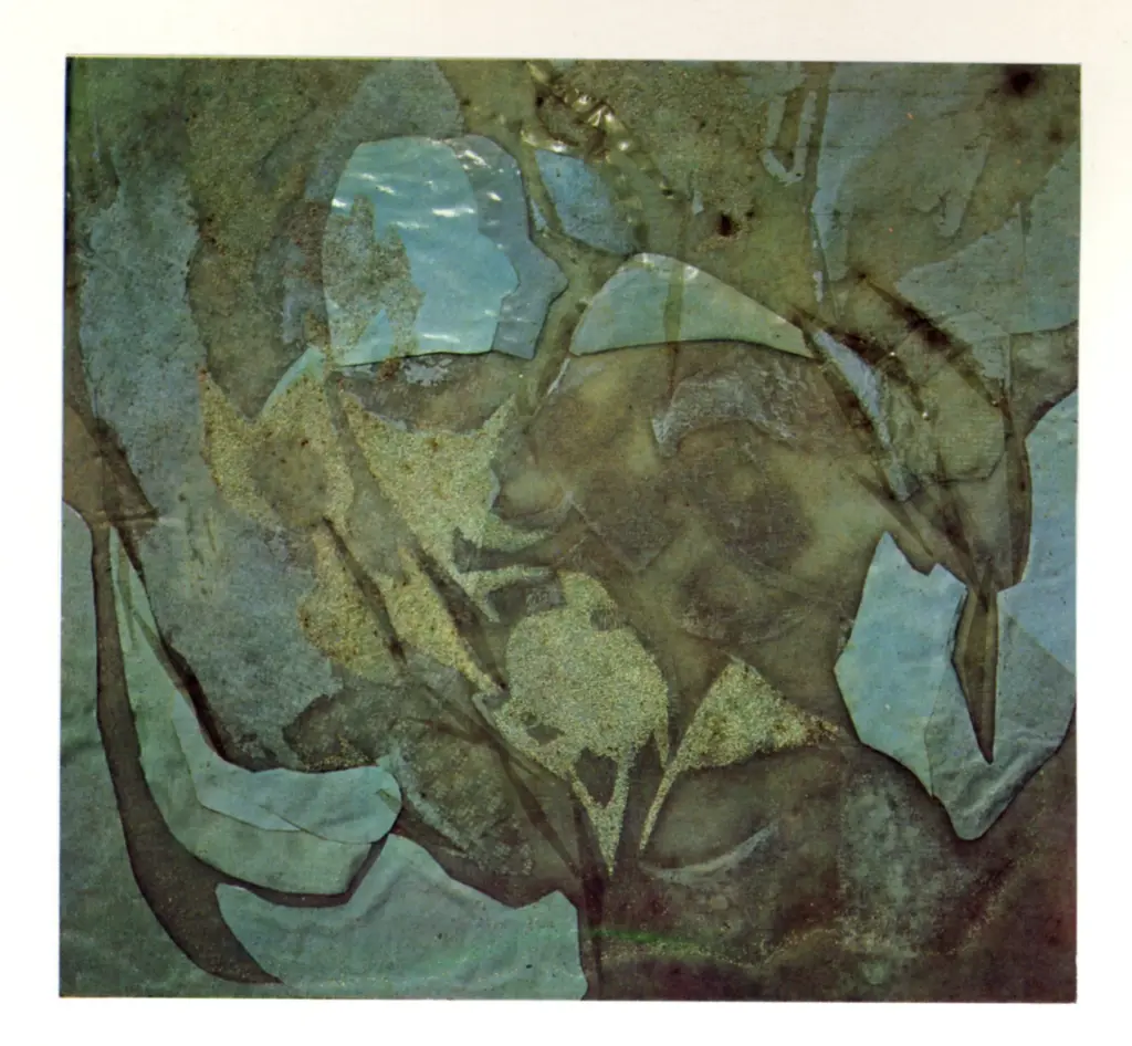 Anonimo , Zatkova, rougena - sec. XX - Neve alta montagna , fronte