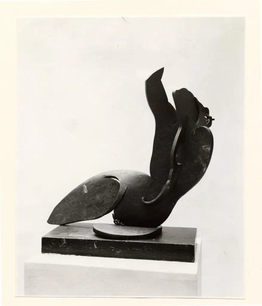 Anonimo, Anonimo , fronte