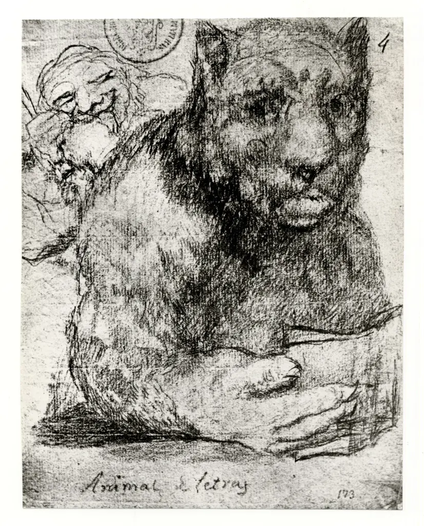 Anonimo , de Goya Y Lucientes, Francisco José - sec. XIX - Il letterato (Animal de letras) , fronte