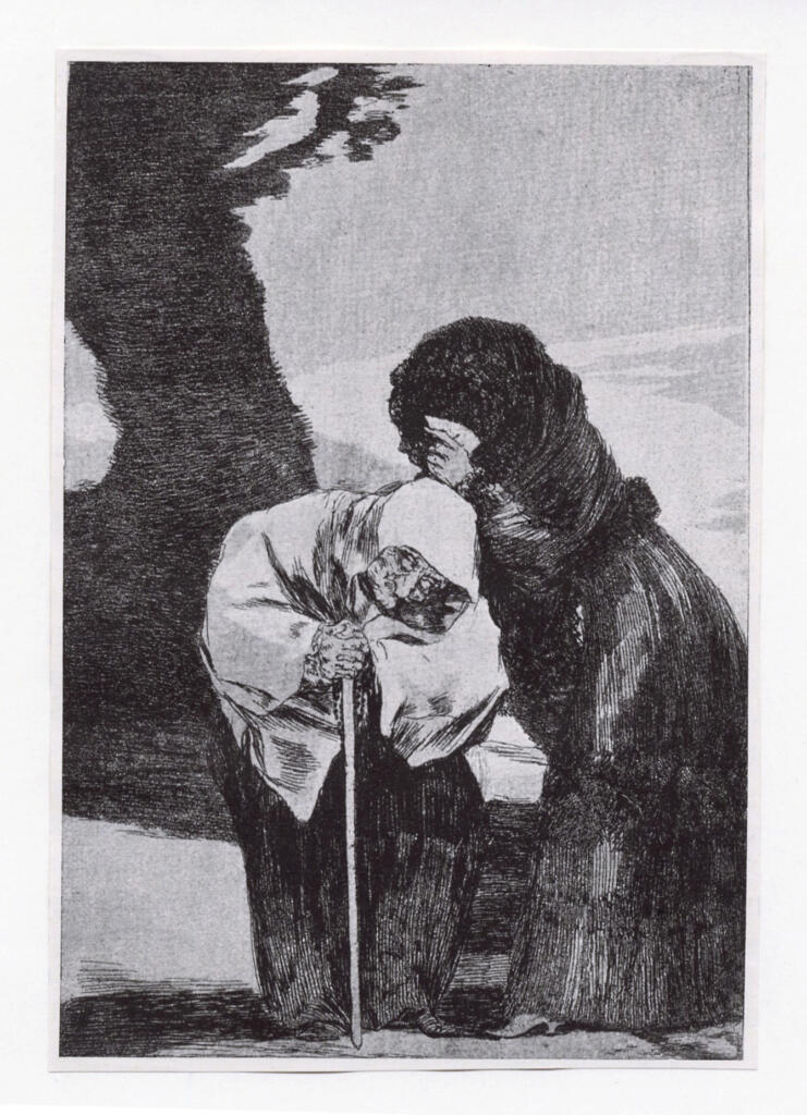 de Goya, Francisco , Los Caprichos