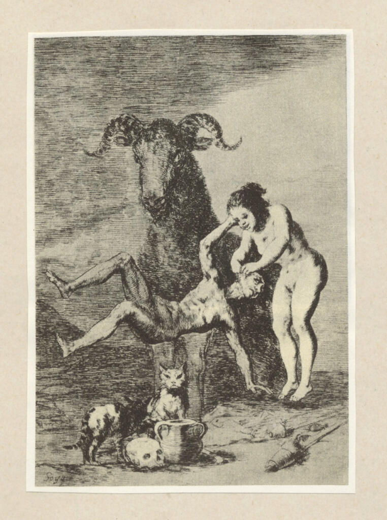 de Goya Y Lucientes, Francisco José , Esperimenti -