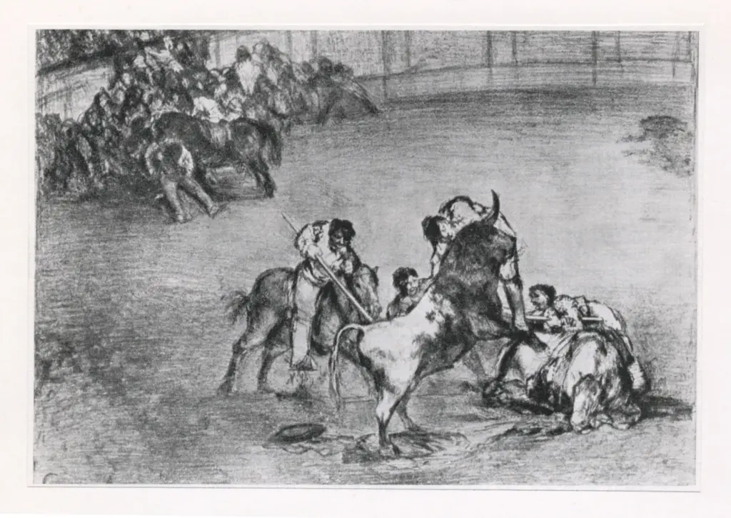 Anonimo, Anonimo , fronte