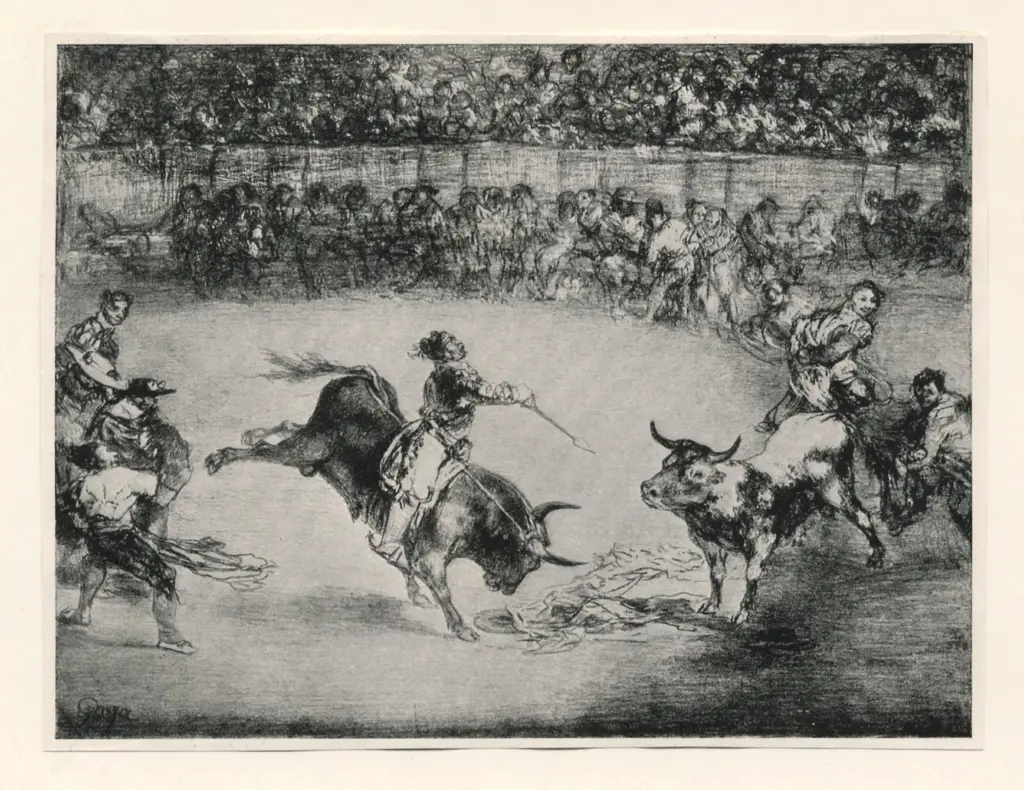 Anonimo, Anonimo , fronte