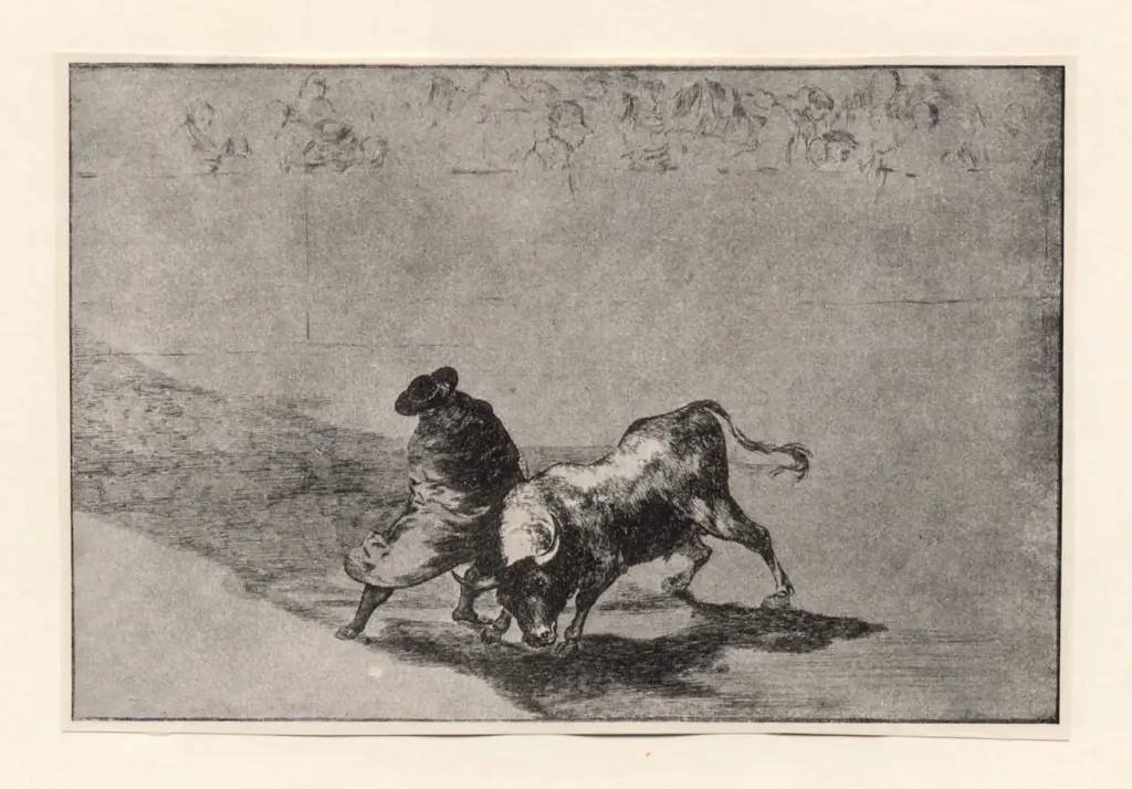 Anonimo, Anonimo , fronte