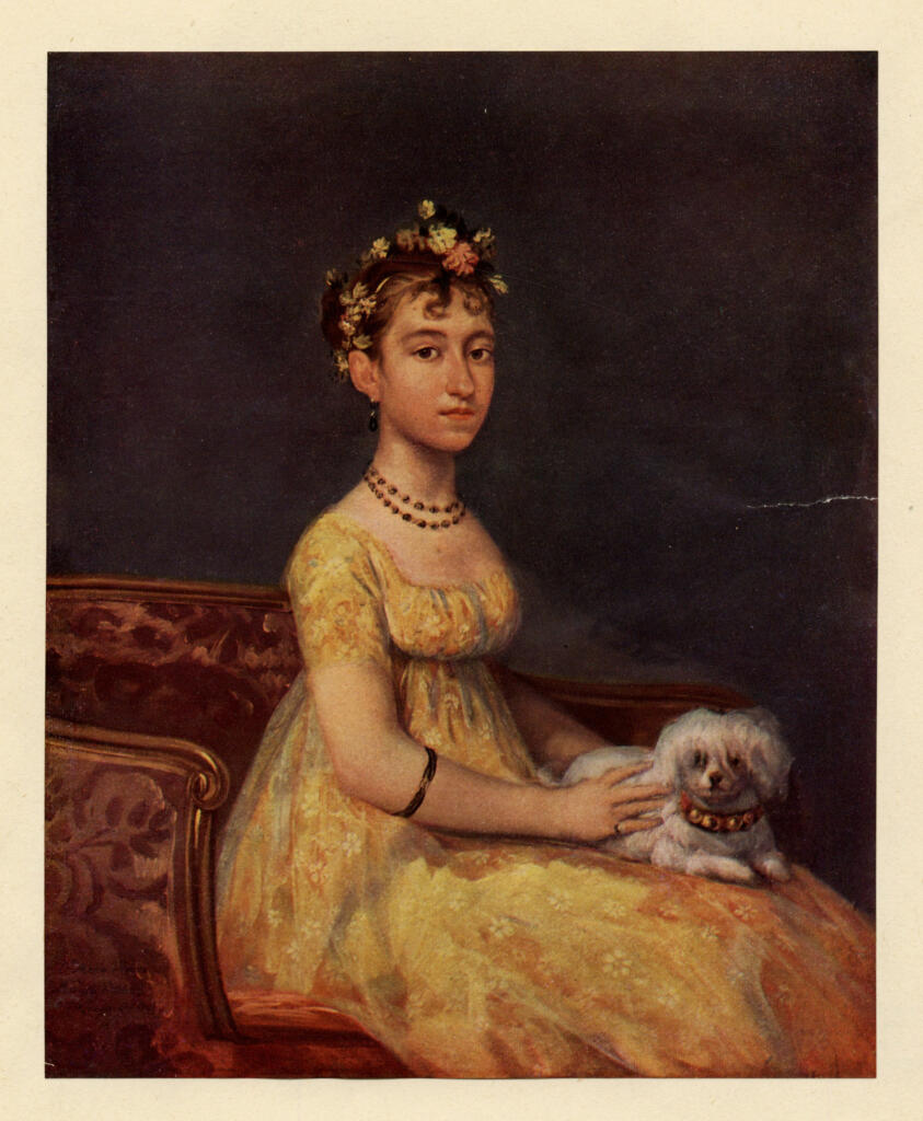 Anonimo , de Goya Y Lucientes, Francisco Jose - sec. XIX , fronte