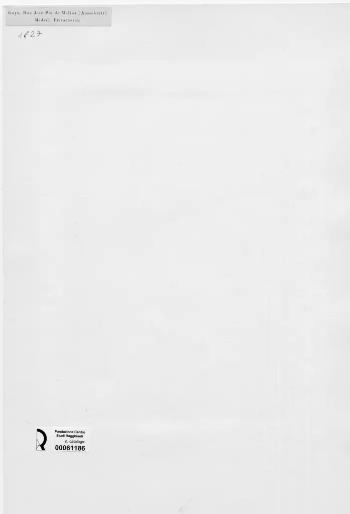 Anonimo , de Goya Y Lucientes, Francisco Jose - sec. XIX - Don Jos&eacute; Pio de Molina , retro