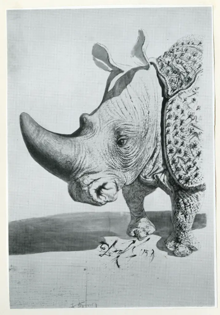 Anonimo , Dali', Salvador - sec. XX - Rhinocerons , fronte