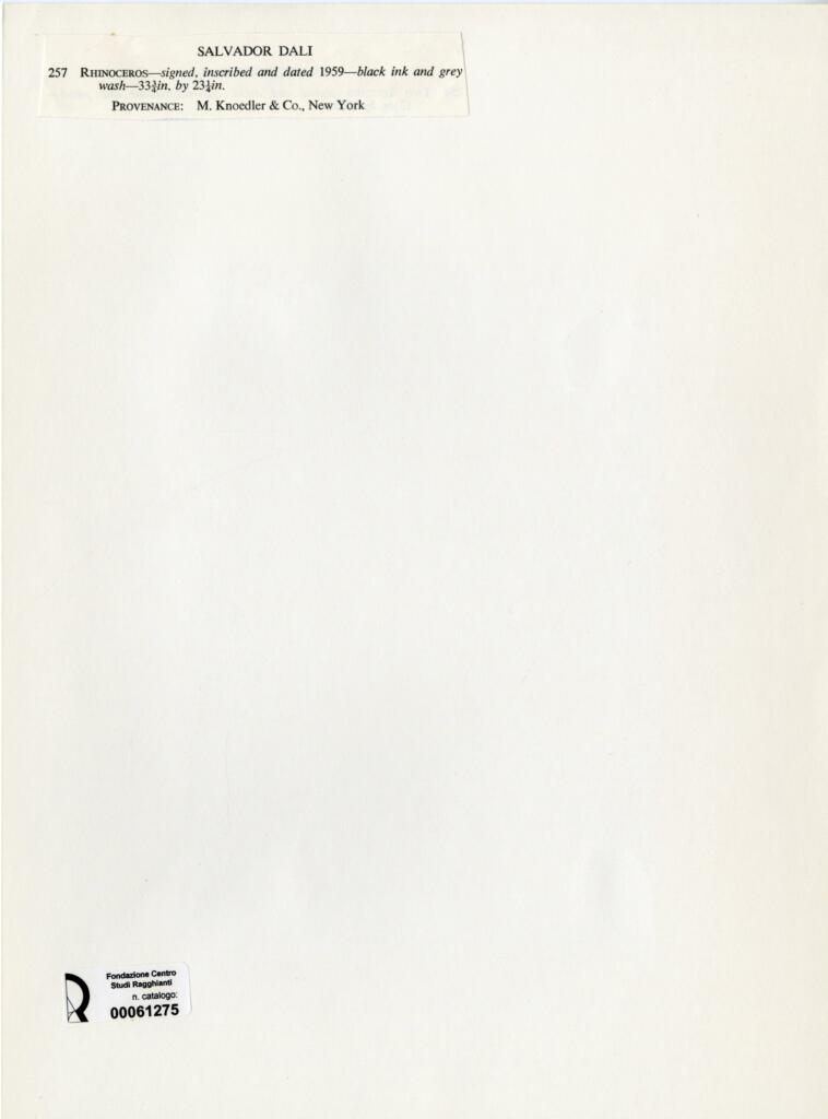 Anonimo , Dali', Salvador - sec. XX - Rhinocerons , retro