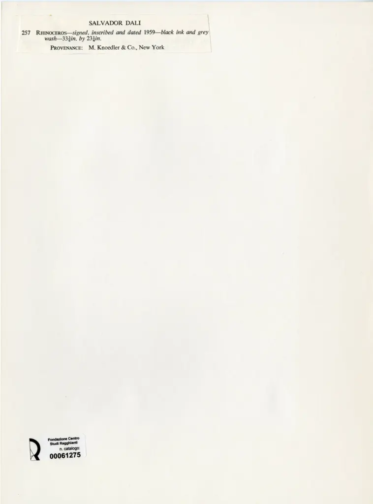 Anonimo , Dali', Salvador - sec. XX - Rhinocerons , retro
