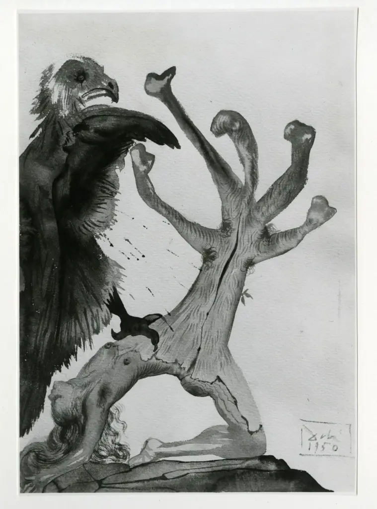 A.F.I. Agenzia Fotografica Industriale , Dali', Salvador - sec. XX - Divina Commedia , fronte