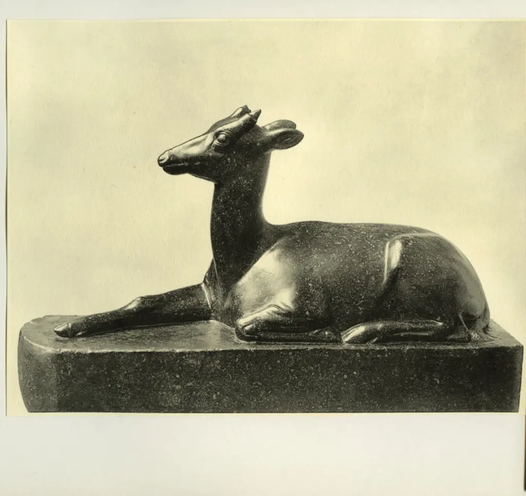 Anonimo, Anonimo , fronte