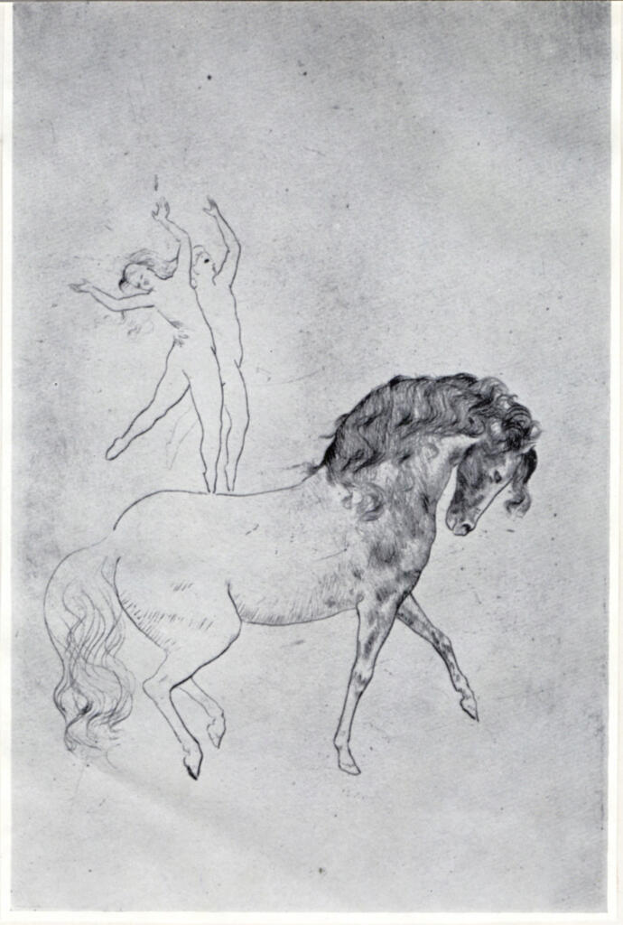 Anonimo , fronte