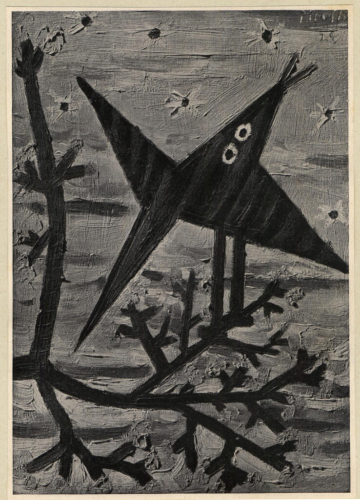Anonimo , Picasso, Pablo - sec. XX - Uccello sul ramo , fronte