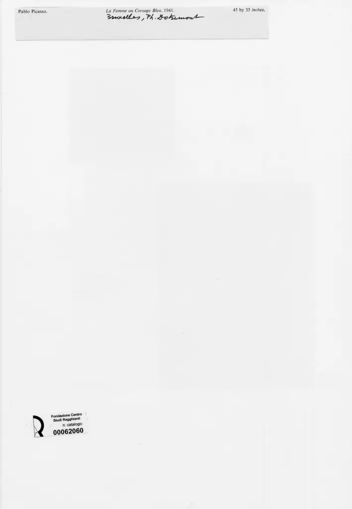 Anonimo , Picasso, Pablo - sec. XX - La Femme au Corsage Bleu , retro