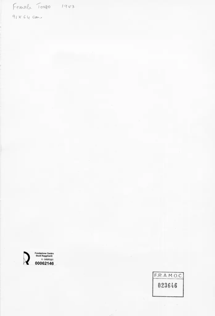 Anonimo, Anonimo , retro